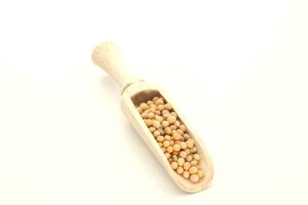 Nasiona gorczycy są małe okrągłe nasion — Zdjęcie stockowe