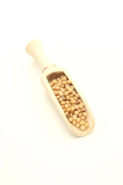 Hořčičná semena jsou malé kulaté semeno — Stock fotografie