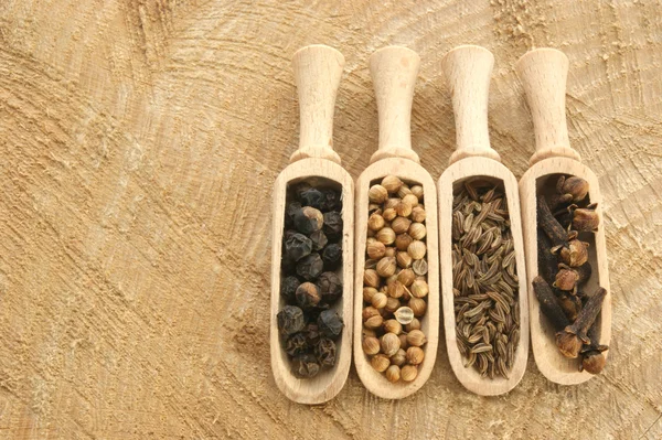 Four spices, pepper, coriander, cloves — Stock Photo, Image
