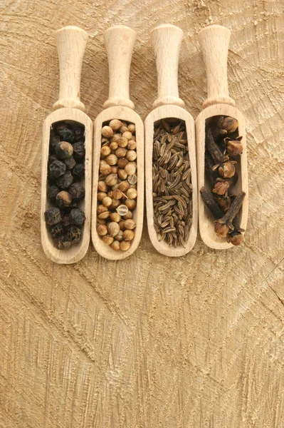 Quatro especiarias, pimenta, coentro, cravo — Fotografia de Stock