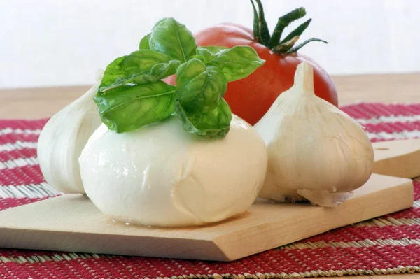 Köstlicher Mozzarella mit Basilikum — Stockfoto