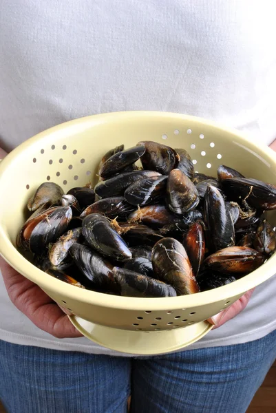 Hold some organic mussel — Stock Photo, Image