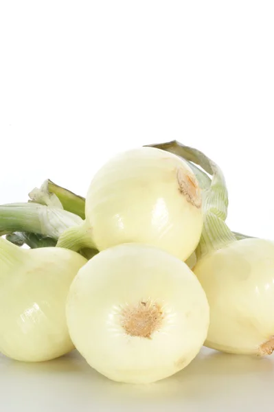 Φρέσκα και οργανικά λευκό κρεμμύδι — Φωτογραφία Αρχείου
