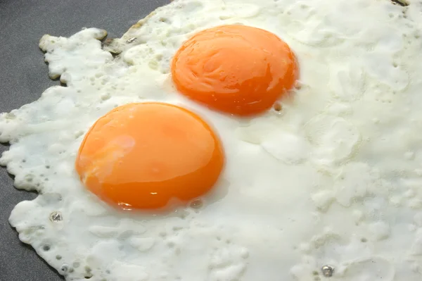 Dos huevos orgánicos fritos — Foto de Stock