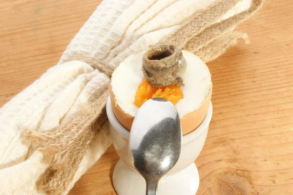 Kokt ägg med ansjovis — Stockfoto