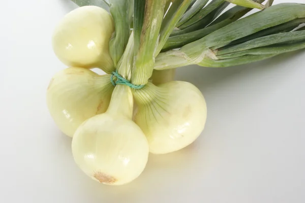Cebolas vegetais brancas — Fotografia de Stock
