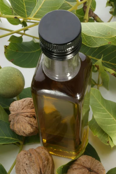Bottle with walnut oil — Stock Photo, Image