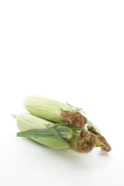 Сладкая кукуруза с поля — стоковое фото