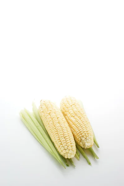 Солодка кукурудза свіжа з поля — стокове фото