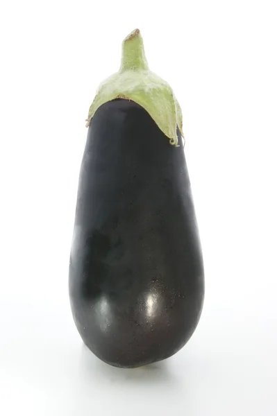 Fresh organic eggplant from the garden — Stock Photo, Image