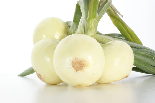 Some withe onions and a white background — Stock Photo, Image