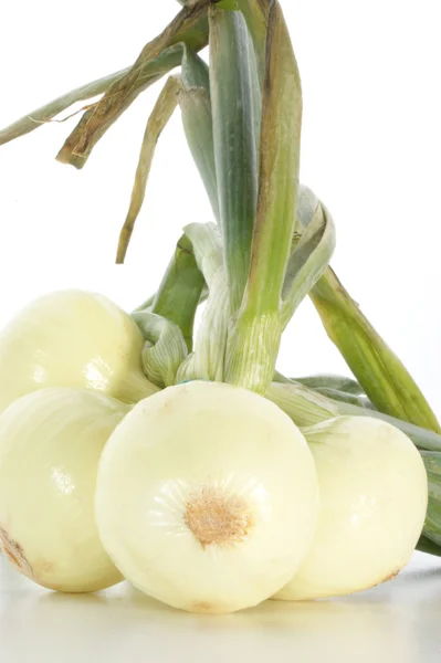 Einige Zwiebeln und ein weißer Hintergrund — Stockfoto