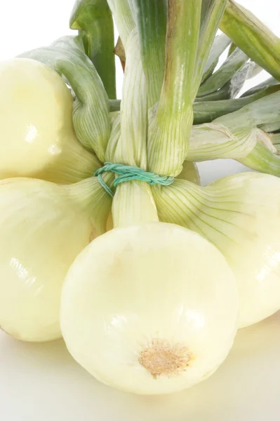 Niektóre z cebulą i białe tło — Zdjęcie stockowe
