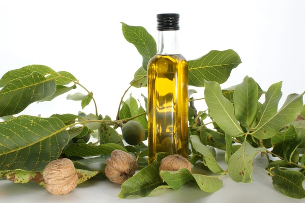 Walnut oil in a bottle — Stock Photo, Image