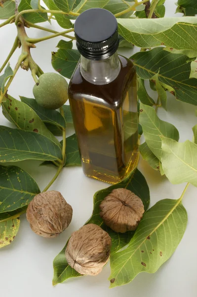 Walnut oil in a bottle — Stock Photo, Image