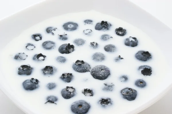 Verse organische bosbessen met melk — Stockfoto