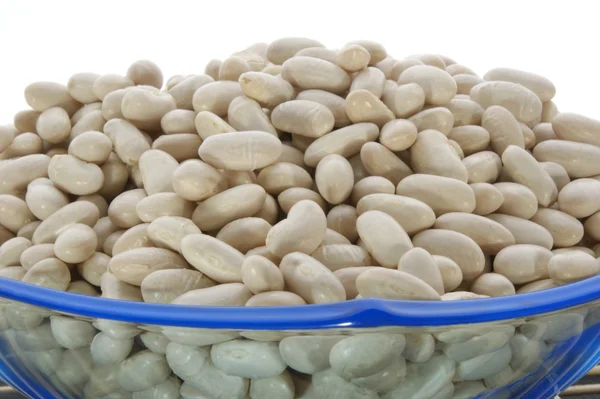 Small bush bean in a bowl — Stock Photo, Image