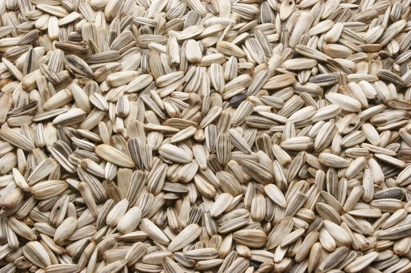 Sağlıklı gıda ayçiçeği tohumu — Stok fotoğraf