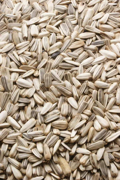 Sağlıklı gıda ayçiçeği tohumu — Stok fotoğraf