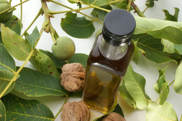 Walnut oil in a small bottle — Stock Photo, Image