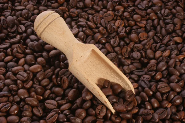 Roll szürke nyakkendő신선한 유기농 커피 콩 — 스톡 사진