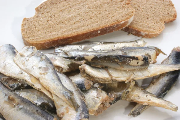 Some sprats and bread — Stock Photo, Image