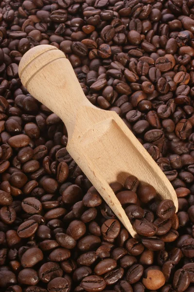 Granos de café orgánicos frescos —  Fotos de Stock