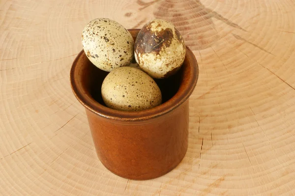 Organik Bıldırcın yumurta bir kase — Stok fotoğraf