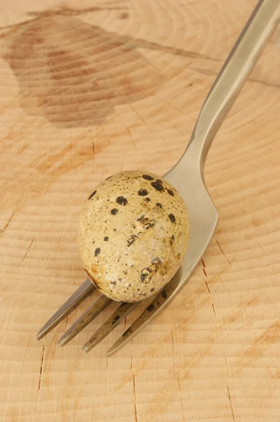 Organic quail egg — Stock Photo, Image