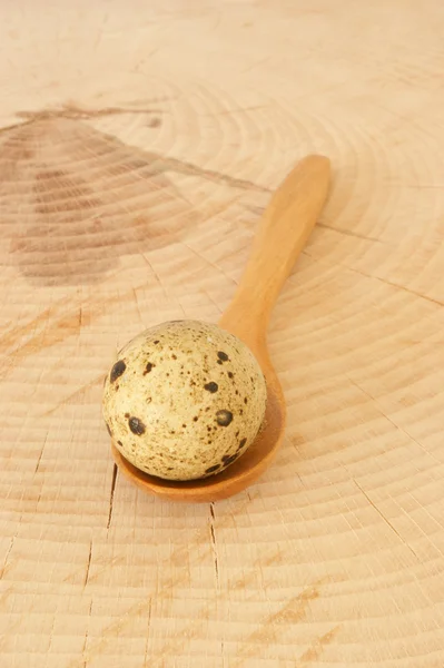 Bir organik Bıldırcın yumurta — Stok fotoğraf