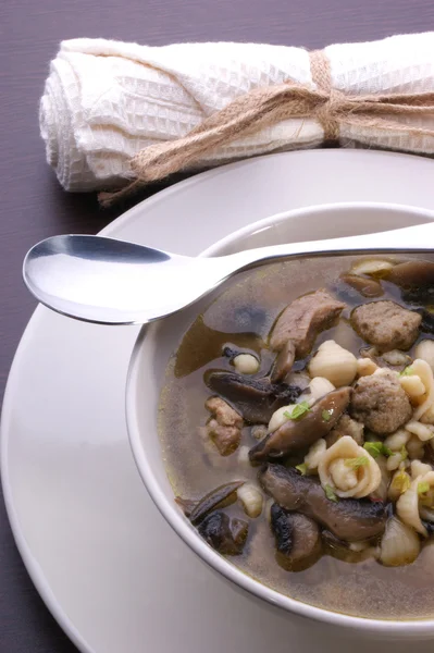 Яловичий суп з локшиною — стокове фото