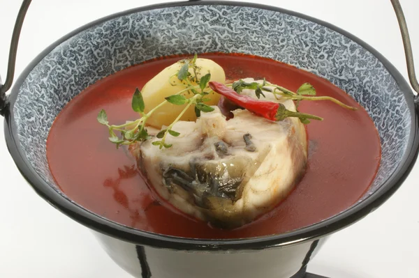 Паровий рибний суп з травами — стокове фото