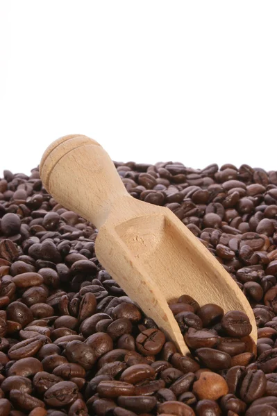 Roll szürke nyakkendő신선한 유기농 커피 콩 — 스톡 사진