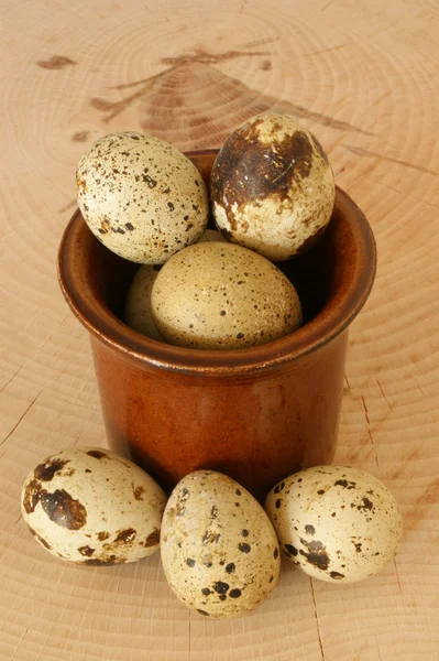 Some organic quail eggs — Stock Photo, Image