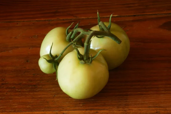 Свежие зеленые органические помидоры — стоковое фото