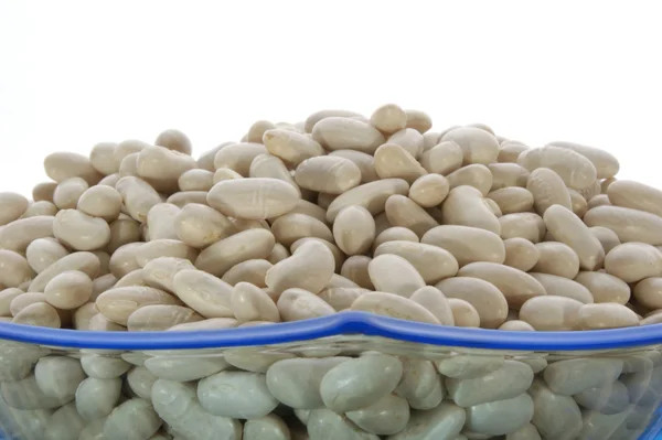 Organic white beans — Stock Photo, Image