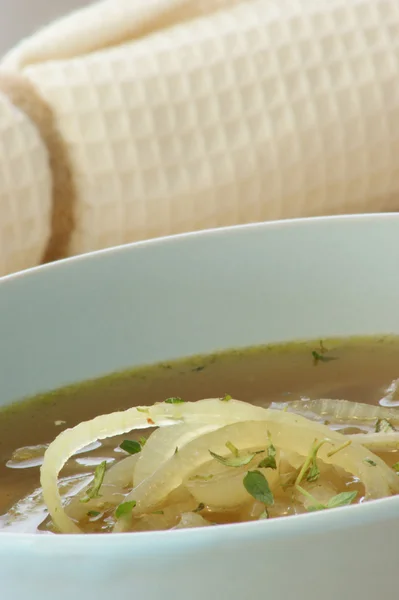 Sup dari bawang organik — Stok Foto
