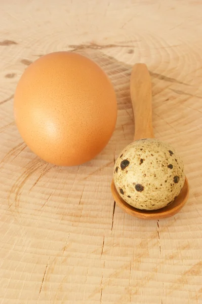 Organiczne jajkiem przepiórczym i jaj kurzych — Zdjęcie stockowe