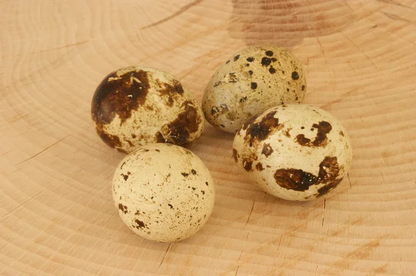 Dört organik bıldırcın yumurtası — Stok fotoğraf