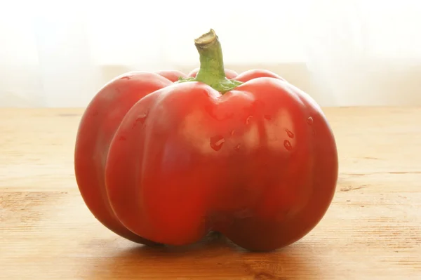 One organic red paprika — Stock Photo, Image