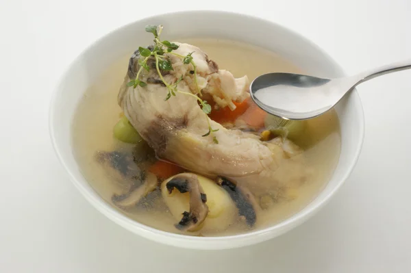 Sup ikan dengan kentang organik — Stok Foto