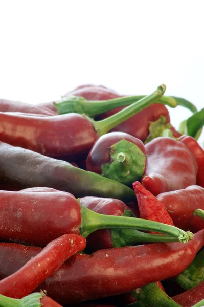 Biologische rode chili — Stockfoto