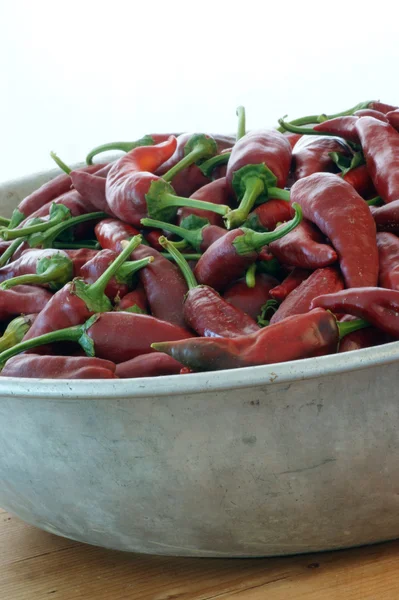 Organic red chili — Stock Photo, Image