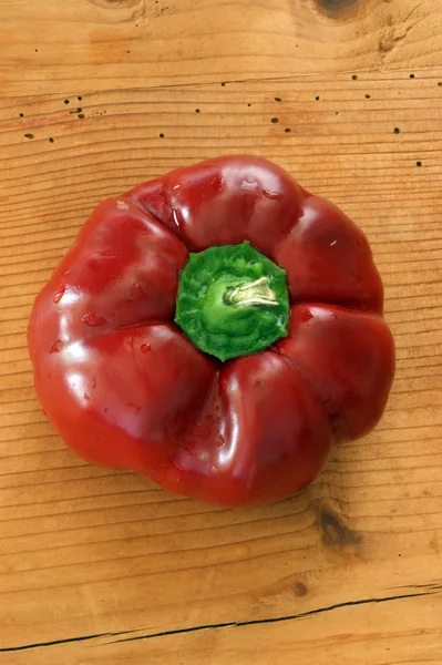 Un pimentón rojo orgánico — Foto de Stock