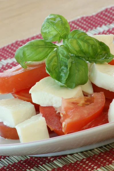 Heerlijke mozzarella salade — Stockfoto