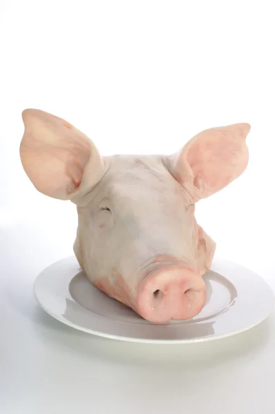 stock image Pig's head on a plate