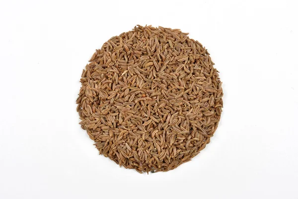 Algunas semillas de alcaravea orgánica — Foto de Stock