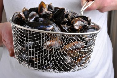 Fresh organic mussel clipart