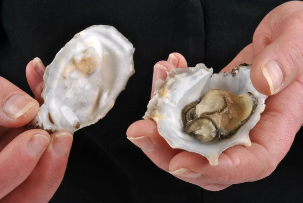 stock image Organic and fresh oyster