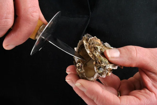 Een organische en verse oesters — Stockfoto